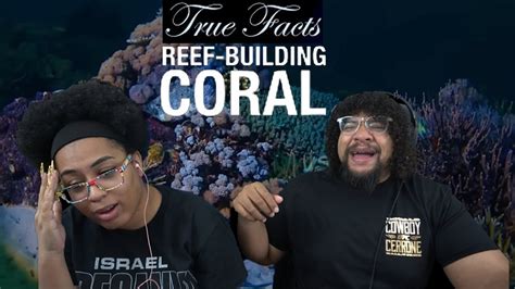 Ze Frank True Facts: Reef Coral Is A Crazy Animal!! | REACTION - YouTube