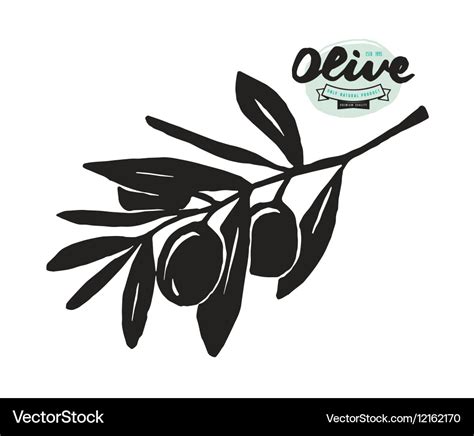 Stock of olive branch silhouette Royalty Free Vector Image