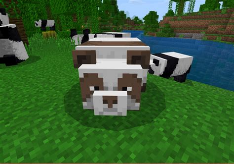 Rare Brown Panda : r/Minecraft