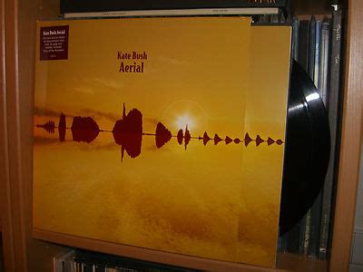 popsike.com - KATE BUSH Aerial vinyl 2 LP very rare oop 180g first ...