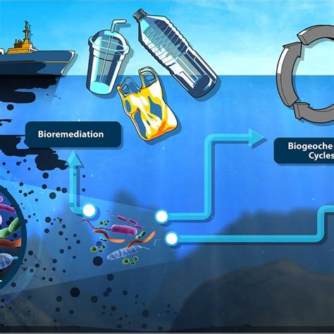 Biotechnology applications of marine bacteria. Marine environments ...