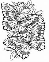 Large Print Coloring Pages At GetColoringscom  Free printable sketch template