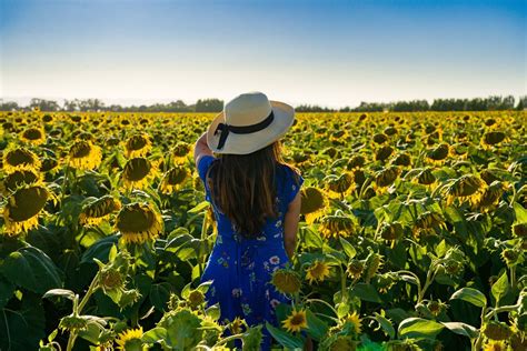 This Breathtaking Sunflower Field In Arizona Opens This Weekend