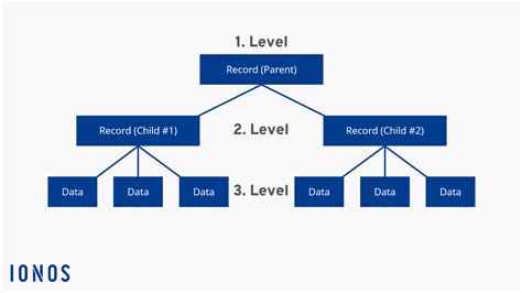 What is a Database? - IONOS CA