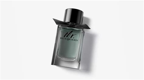 Mr. Burberry Cologne Reviewed: A Classic Citrus Scent for Summer ...