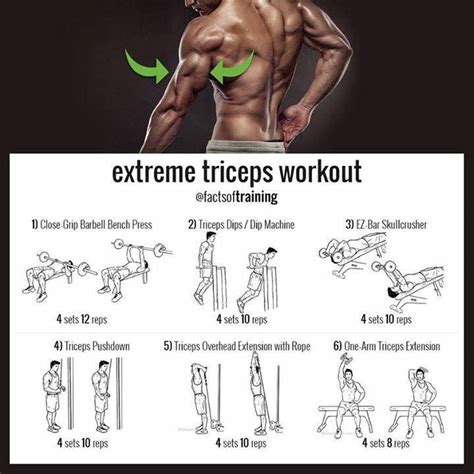 Pin by Kriztofre M on Gym workout plans & ideas t | Triceps workout, Extreme workouts, Arm workout