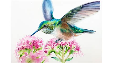 Watercolor Hummingbird Paintings