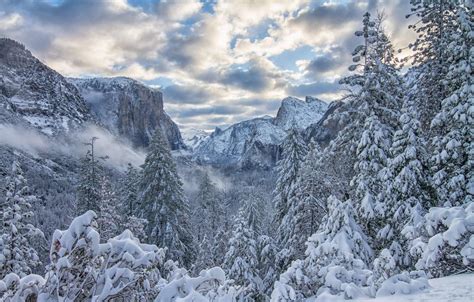 Yosemite National Park Winter Scenery Wallpapers - Wallpaper Cave