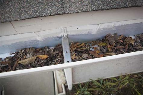 The Cons of Half-Round Gutters - K-Guard St. Louis