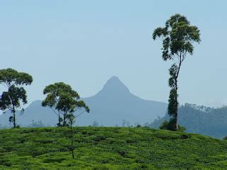 Adam's Peak central province, Sri Lanka