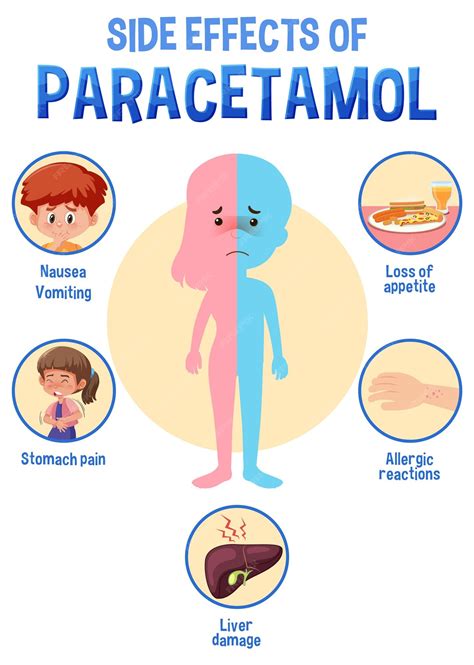 Premium Vector | Human anatomy diagram cartoon style of paracetamol side effects