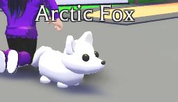 What Is An Arctic Fox Worth In Adopt Me? - Adoptme Pro A3D