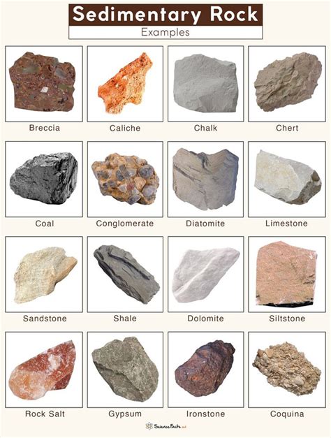 Sedimentary Rocks - Definition, Formation, Types, & Examples | Sedimentary rock formation ...