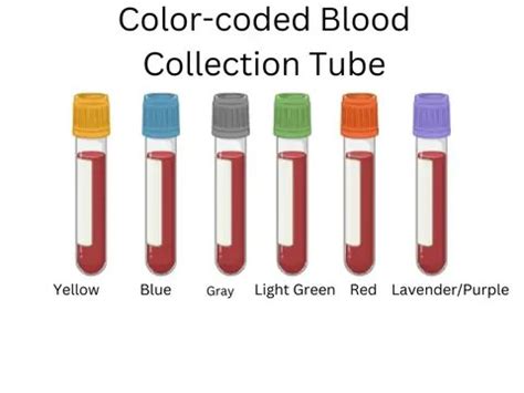 Blood Collection Tubes: Significance of Color Coding • Microbe Online