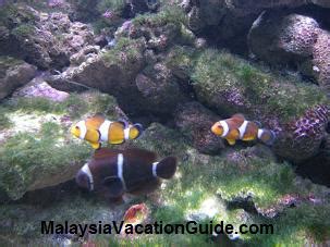 Langkawi Underwater World