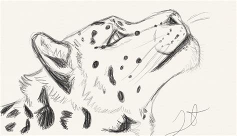 Snow Leopard sketch. by Akadafeathers on DeviantArt