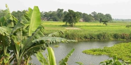 Make Majuli & its vast forest planted by a single man a World Heritage site