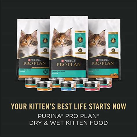 Purina Pro Plan Kitten Food Complete and Balanced Kitten Starter Kit ...