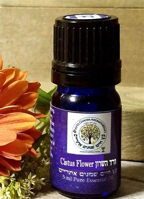 Cistus Essential Oil 5ml (Rose Of Sharon) Steam Distilled Organic ...