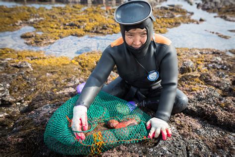 Jeju_Haenyeo_female_divers_photos-019