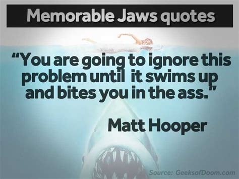 'Jaws' at 40: 17 memorable movie quotes