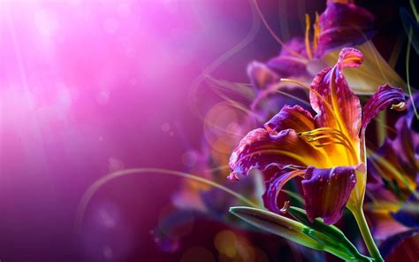 Cool abstract flower wallpaper HD Free Download