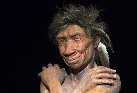 Forensic reconstruction of the Gibraltar Neanderthal fossil ...