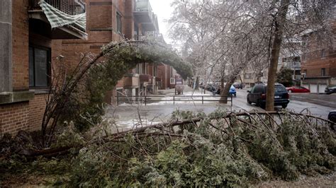 Ice storm: Montreal frozen under the ice, significant material damage ...