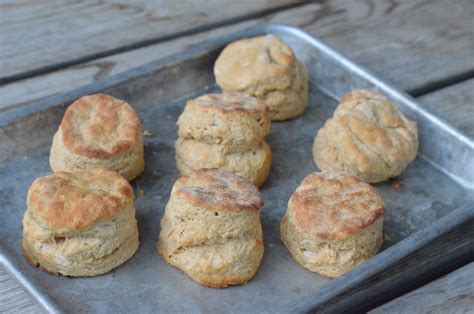 The Best Whole Wheat Biscuits ⋆ 100 Days of Real Food