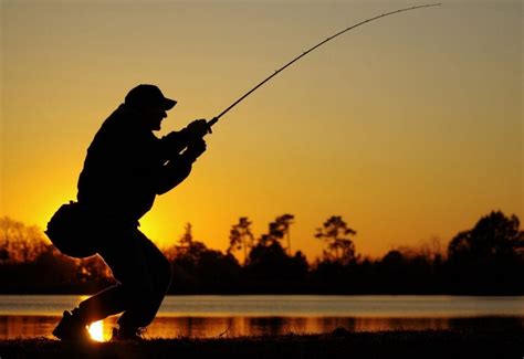 Sebago Lake Fishing (The Best Fishing Spots & More) - Into Fly Fishing