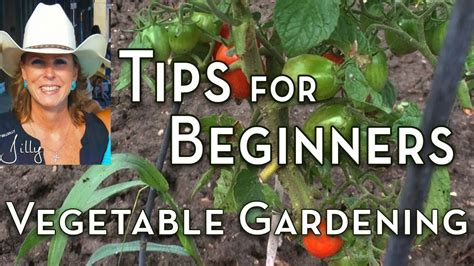 Vegetable Gardening Tips for Beginners - YouTube