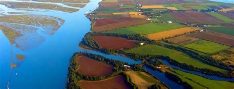 Fraser River Estuary - DELTA FARMLAND & WILDLIFE TRUST