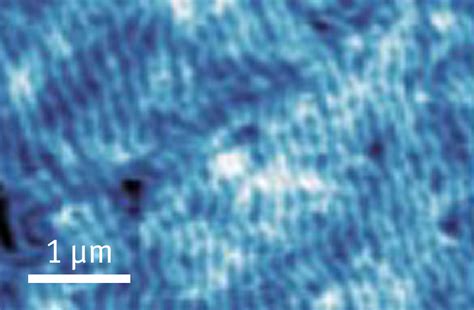 Nanopositioners - nanopositioning made simple