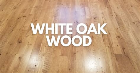 White Oak Wood - Things to Know Before Using - Timber Blogger