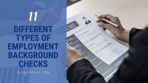 11 Different Types of Employment Background Checks - Blue Lion