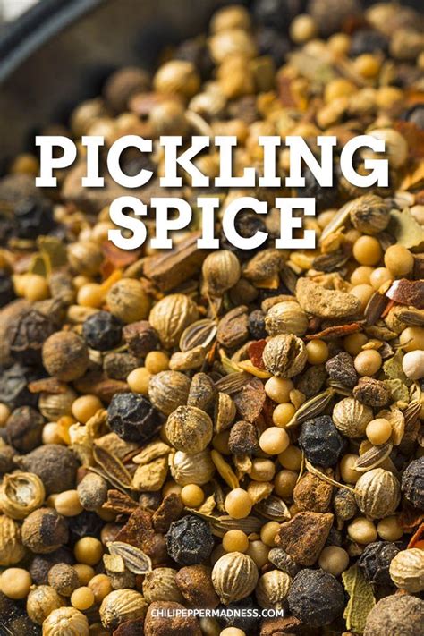 Homemade Pickling Spice | Spice recipes, Pickling spice, Spice mix recipes