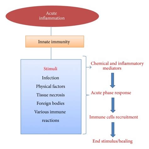 Acute inflammatory pathways and their activation process. | Download Scientific Diagram