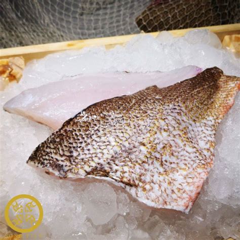 Red Snapper Fillet, Fresh 200gm – The Seafood Market Place by Song Fish