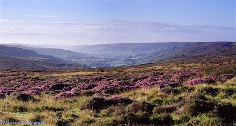 North York Moors panorama photo WP03886