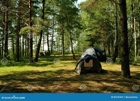 Camping Tents In The Forest Stock Images - Image: 8410704