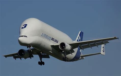 Airbus Beluga - Specs, Cargo Capacity, Operating Cost