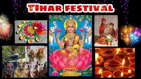 Tihar festival | The story of Tihar | Festival of lights - YouTube