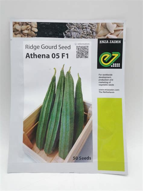 ENZA ZADEN RIDGE GOURD ATHENA SEEDS ( 50 SEEDS ) | Lazada PH