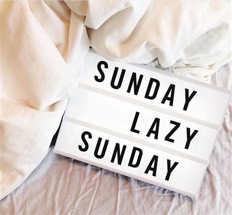 Lazy Sunday | Good morning quotes, Boxing quotes, Inspirational quotes