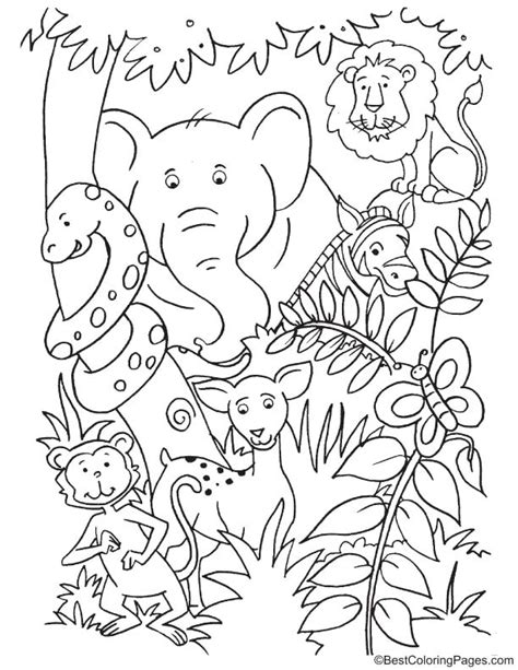 Animals inside the jungle coloring page | Download Free Animals inside the jungle coloring page ...