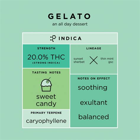 GELATO - Cannabis Strains - THC Design Cannabis Cultivator in CA