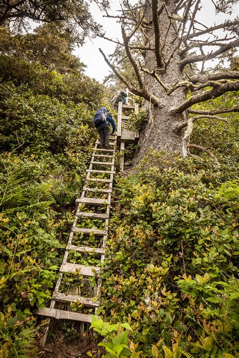 WCT - Day 5 - Up & Up. | More West Coast Trail Ladders. IMG_… | Flickr