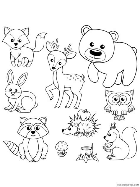 Woodland Animals Coloring Pages Simple Coloring Pages