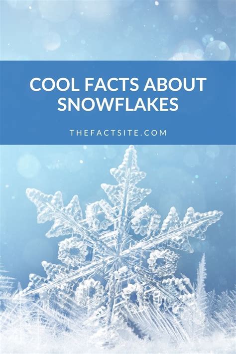 Cool Facts About Snowflakes - The Fact Site