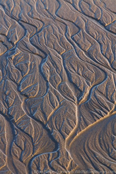 Sand Patterns | Photos by Ron Niebrugge